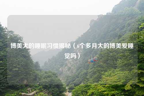博美犬的睡眠习惯揭秘（6个多月大的博美爱睡觉吗）