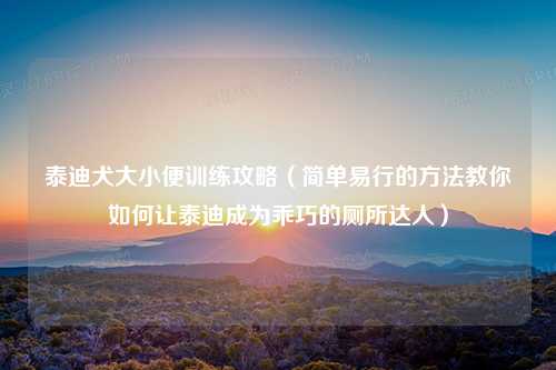 泰迪犬大小便训练攻略（简单易行的方法教你如何让泰迪成为乖巧的厕所达人）