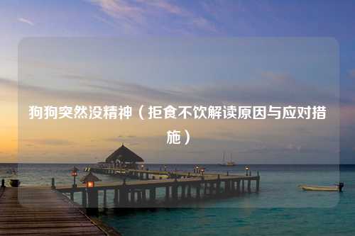 狗狗突然没精神（拒食不饮解读原因与应对措施）