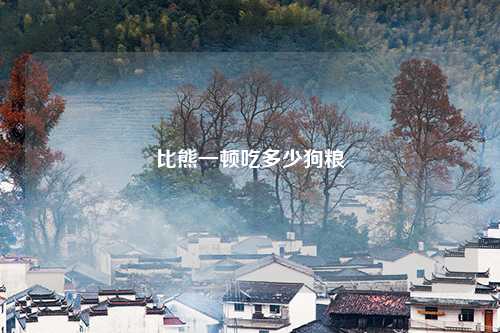 比熊一顿吃多少狗粮