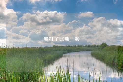 暴打了比熊一顿