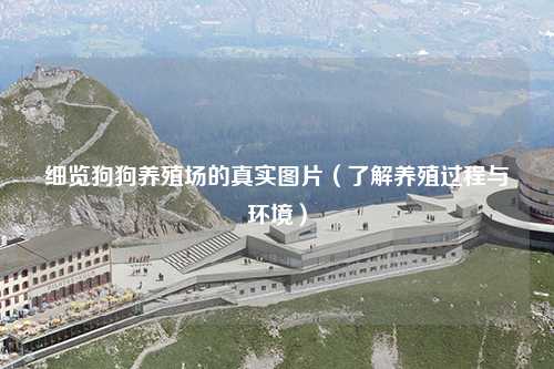 细览狗狗养殖场的真实图片（了解养殖过程与环境）