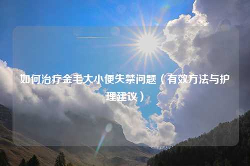 如何治疗金毛大小便失禁问题（有效方法与护理建议）