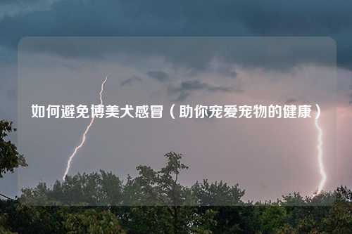 如何避免博美犬感冒（助你宠爱宠物的健康）