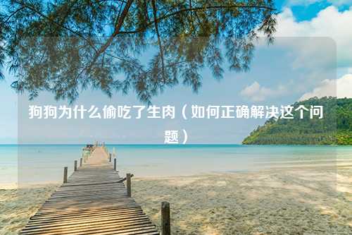 狗狗为什么偷吃了生肉（如何正确解决这个问题）
