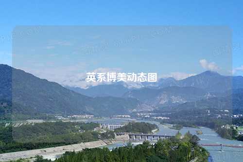 英系博美动态图