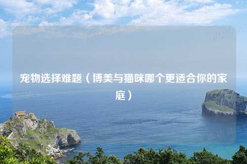 宠物选择难题（博美与猫咪哪个更适合你的家庭）