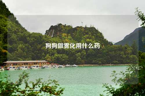 狗狗做雾化用什么药