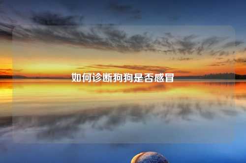 如何诊断狗狗是否感冒