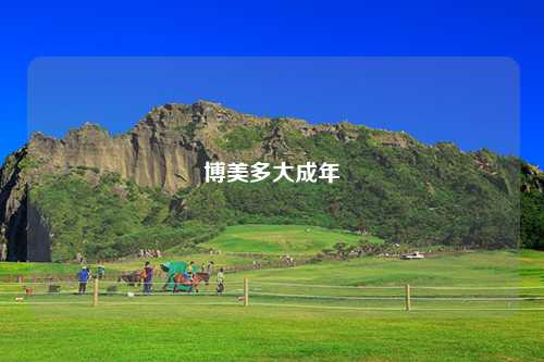博美多大成年