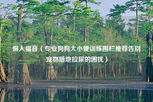 懒人福音（专业狗狗大小便训练围栏推荐告别宠物随地拉尿的困扰）