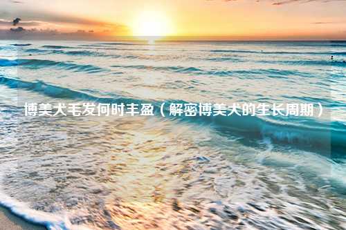 博美犬毛发何时丰盈（解密博美犬的生长周期）