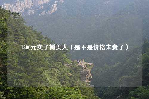 1500元卖了博美犬（是不是价格太贵了）
