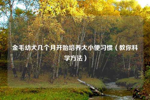 金毛幼犬几个月开始培养大小便习惯（教你科学方法）