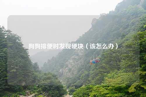 狗狗排便时发现硬块（该怎么办）