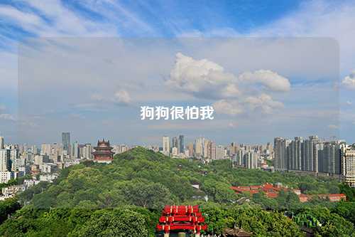 狗狗很怕我