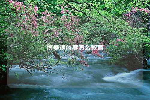博美很凶要怎么教育