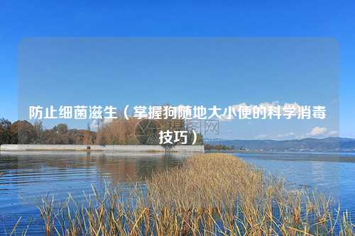 防止细菌滋生（掌握狗随地大小便的科学消毒技巧）