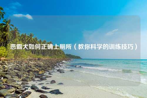 恶霸犬如何正确上厕所（教你科学的训练技巧）