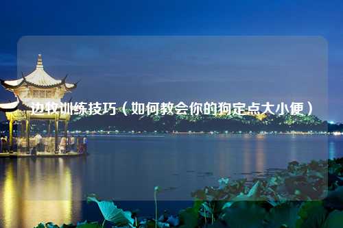 边牧训练技巧（如何教会你的狗定点大小便）