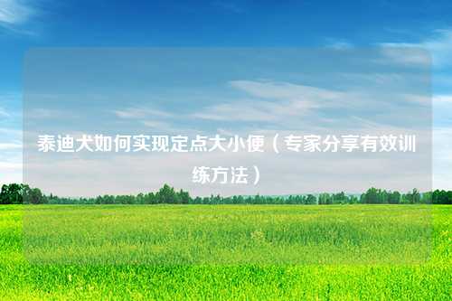 泰迪犬如何实现定点大小便（专家分享有效训练方法）