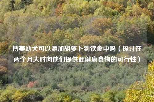 博美幼犬可以添加胡萝卜到饮食中吗（探讨在两个月大时向他们提供此健康食物的可行性）
