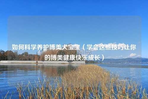 如何科学养护博美犬宝宝（学会这些技巧让你的博美健康快乐成长）