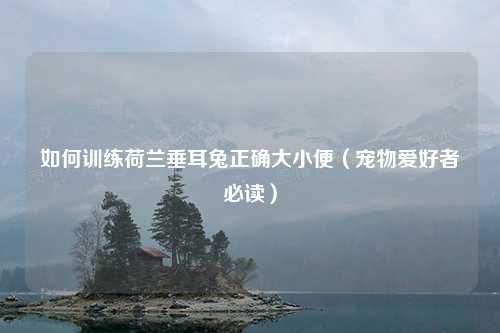 如何训练荷兰垂耳兔正确大小便（宠物爱好者必读）