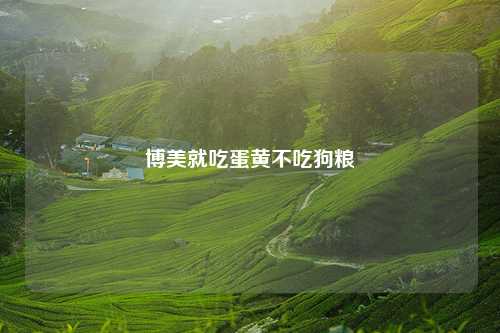 博美就吃蛋黄不吃狗粮