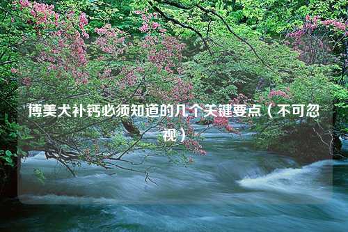博美犬补钙必须知道的几个关键要点（不可忽视）