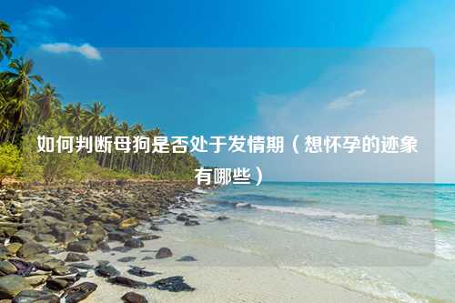 如何判断母狗是否处于发情期（想怀孕的迹象有哪些）