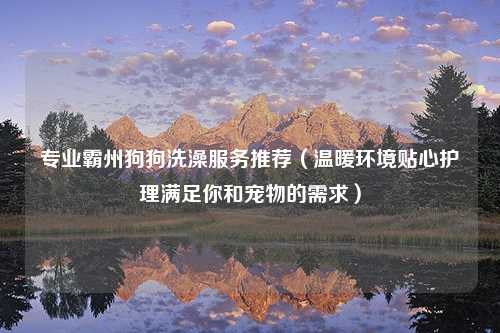 专业霸州狗狗洗澡服务推荐（温暖环境贴心护理满足你和宠物的需求）