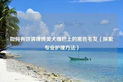 如何有效清理博美犬嘴巴上的黑色毛发（探索专业护理方法）