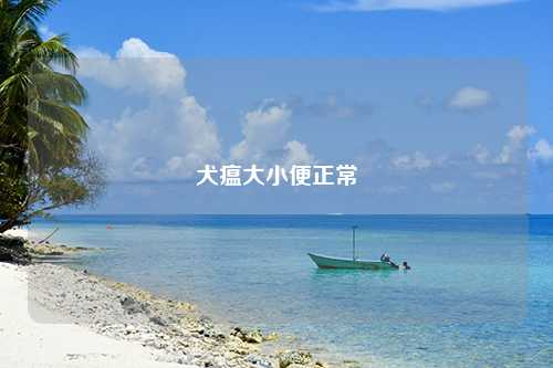 犬瘟大小便正常