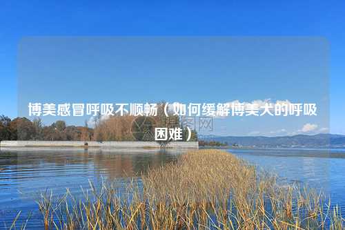博美感冒呼吸不顺畅（如何缓解博美犬的呼吸困难）