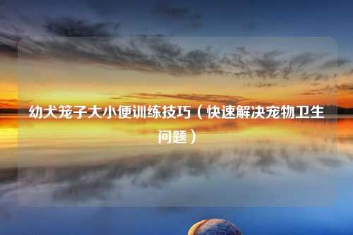 幼犬笼子大小便训练技巧（快速解决宠物卫生问题）