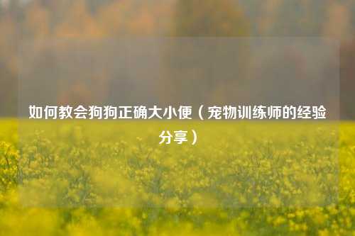 如何教会狗狗正确大小便（宠物训练师的经验分享）