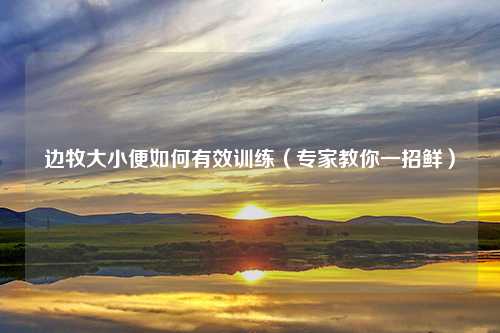 边牧大小便如何有效训练（专家教你一招鲜）