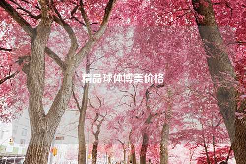 精品球体博美价格