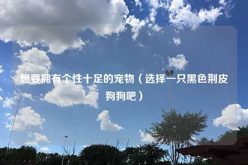 想要拥有个性十足的宠物（选择一只黑色荆皮狗狗吧）