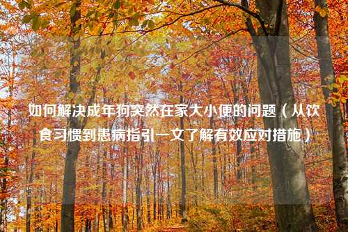 如何解决成年狗突然在家大小便的问题（从饮食习惯到患病指引一文了解有效应对措施）