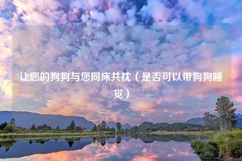 让您的狗狗与您同床共枕（是否可以带狗狗睡觉）