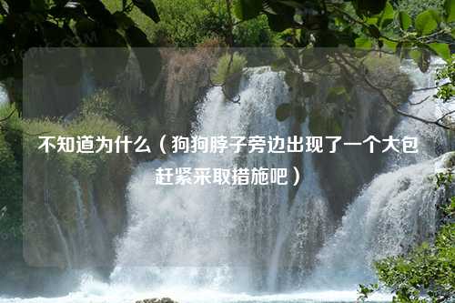 不知道为什么（狗狗脖子旁边出现了一个大包赶紧采取措施吧）