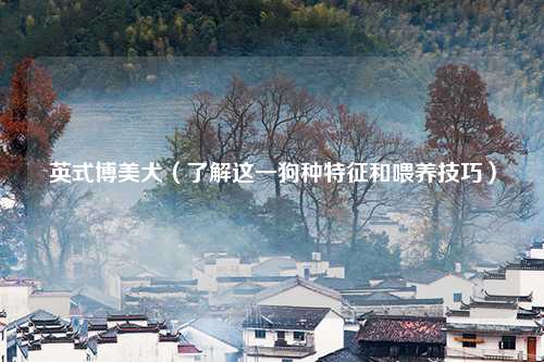英式博美犬（了解这一狗种特征和喂养技巧）