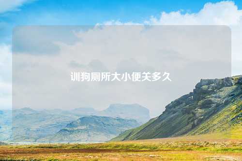 训狗厕所大小便关多久