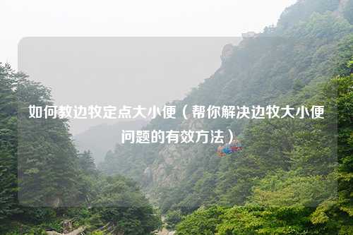如何教边牧定点大小便（帮你解决边牧大小便问题的有效方法）