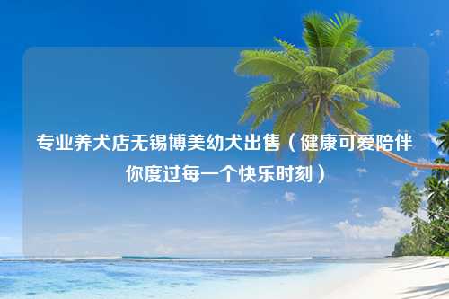 专业养犬店无锡博美幼犬出售（健康可爱陪伴你度过每一个快乐时刻）