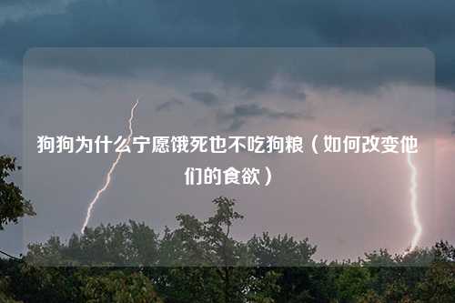 狗狗为什么宁愿饿死也不吃狗粮（如何改变他们的食欲）