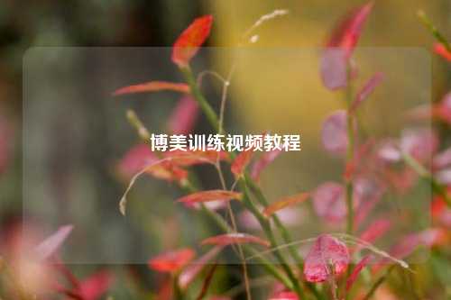 博美训练视频教程