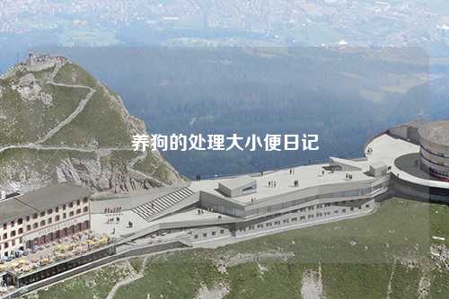 养狗的处理大小便日记